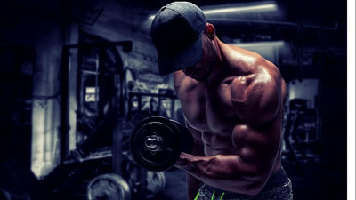 Outils de musculation